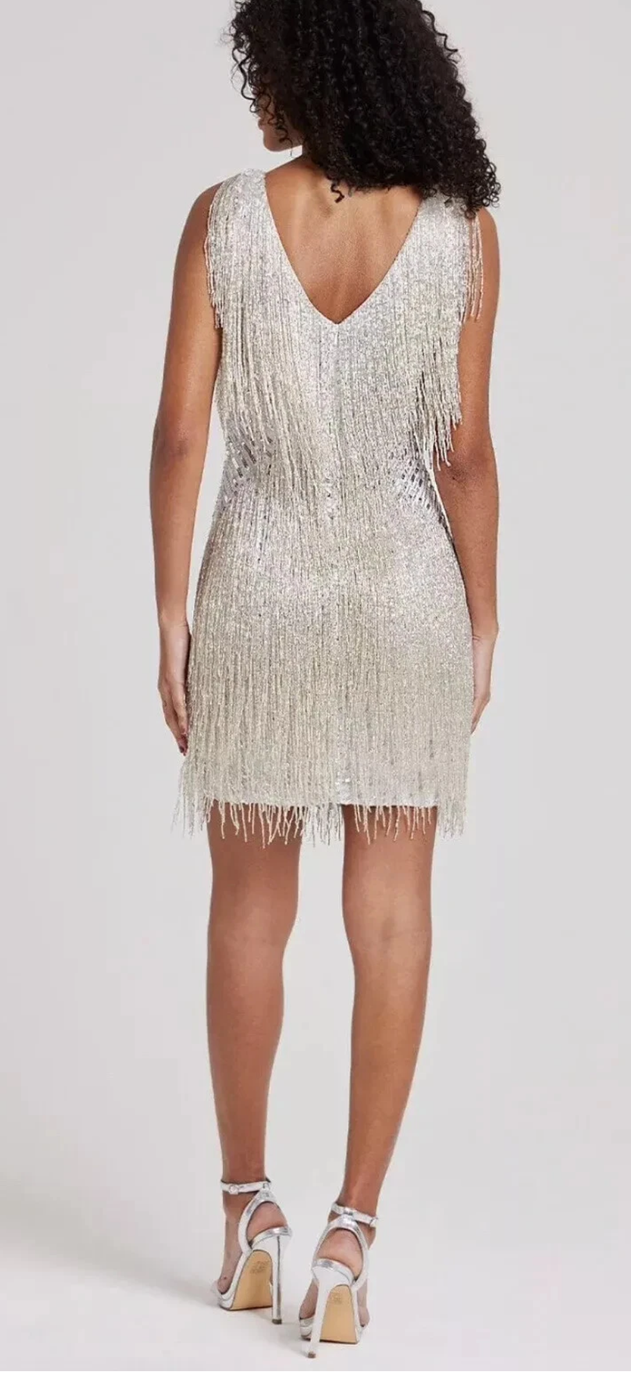 Nadine Merabi Sadie Silver Dress